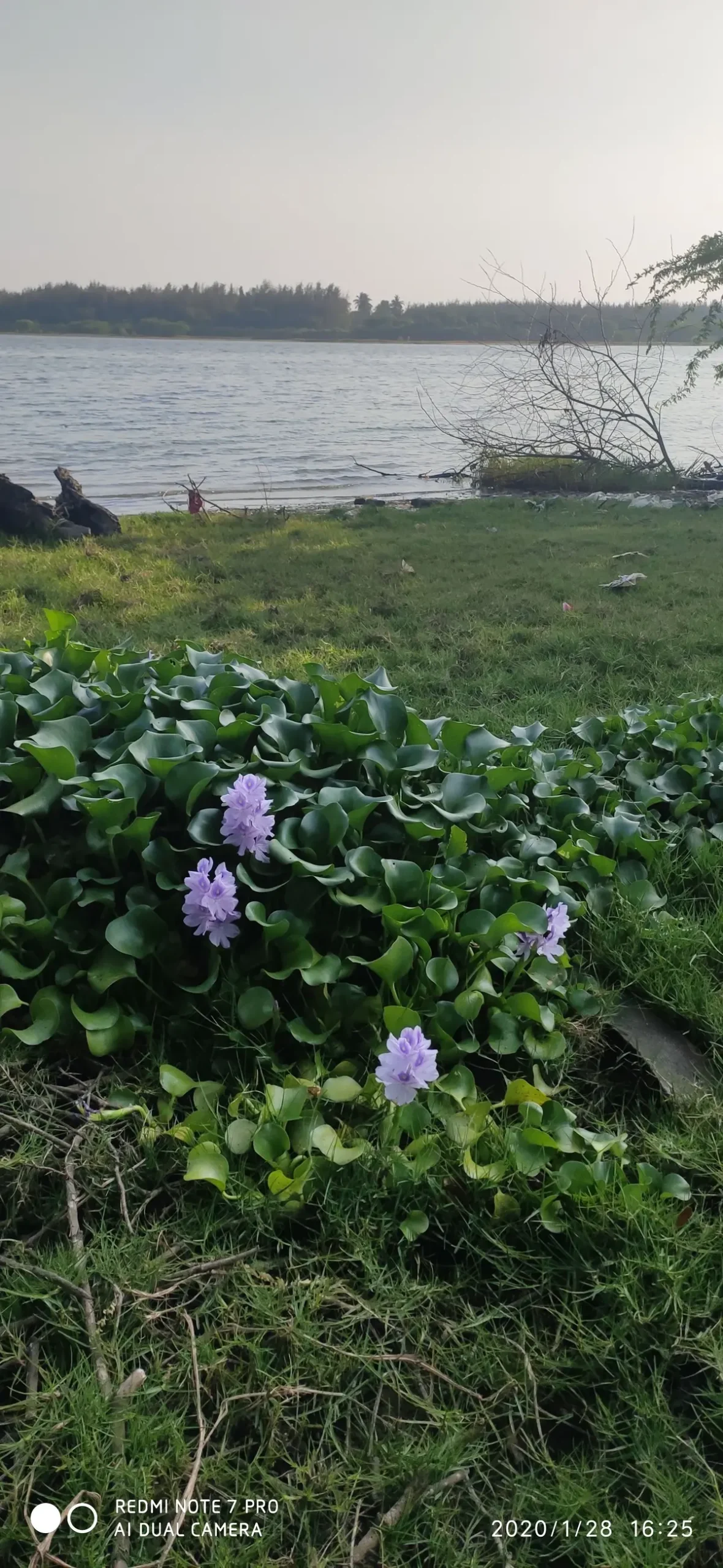 艾诗塔科技家居服 舒适居家生活场景