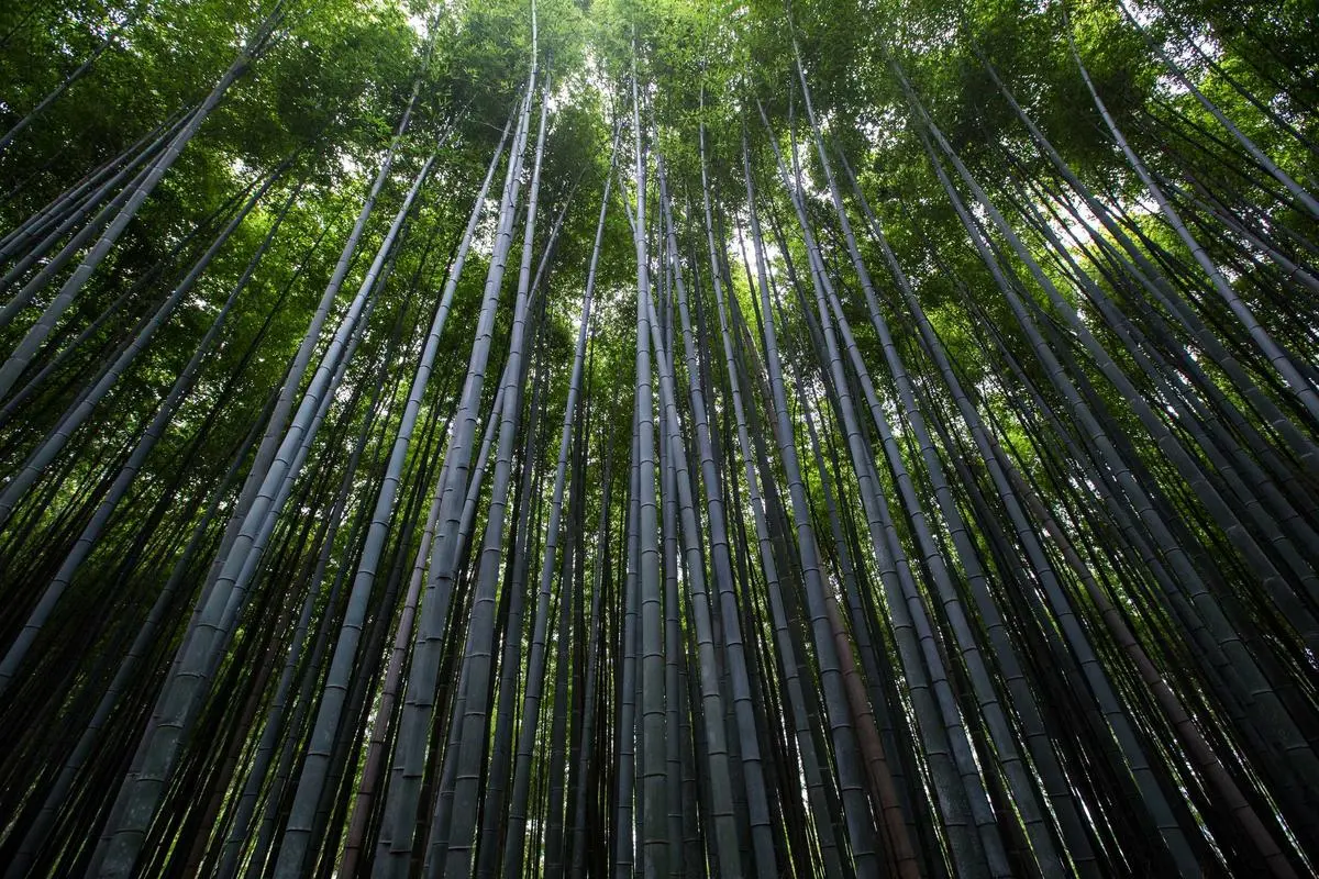 艾诗塔PCM温控面料技术展示 智能调温家居服